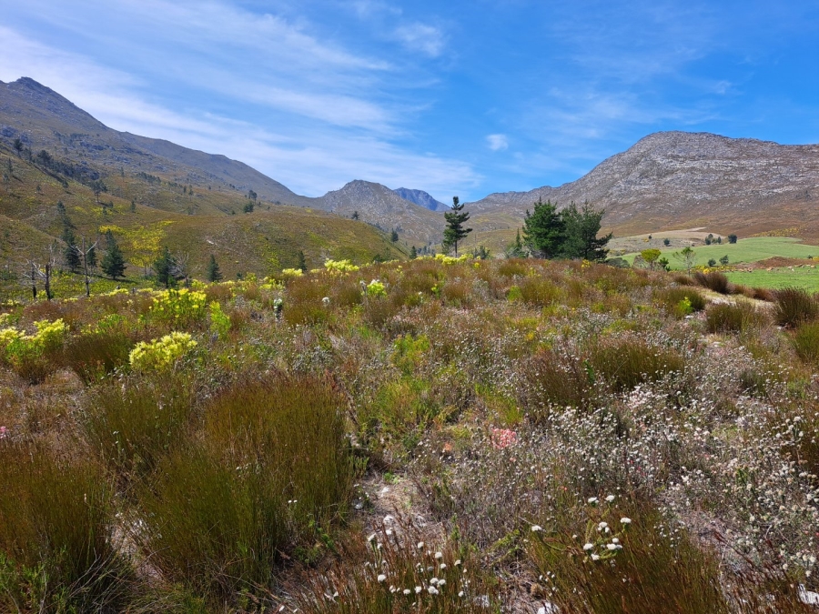 7 Bedroom Property for Sale in Riversdale Rural Western Cape